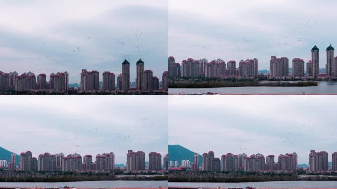 大雁