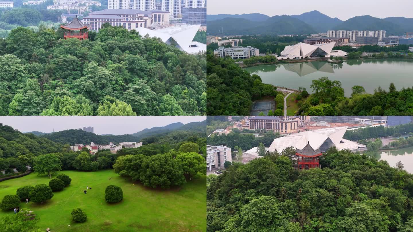 浙江科技大学