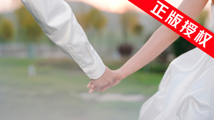 婚纱照 唯美草坪婚礼纪实【4K】