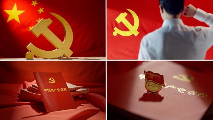 入党宣誓党员党建党徽