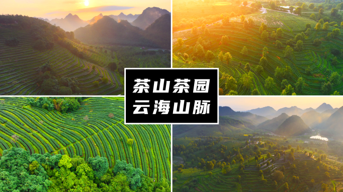 茶山茶园云海山脉山峰