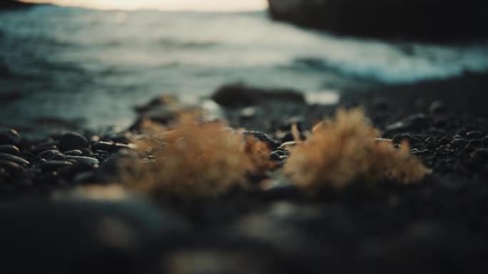 慢动作视频：夕阳下海浪拍打海岸。