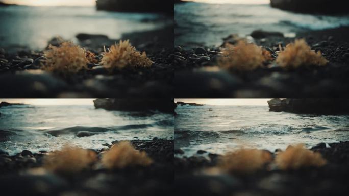 慢动作视频：夕阳下海浪拍打海岸。