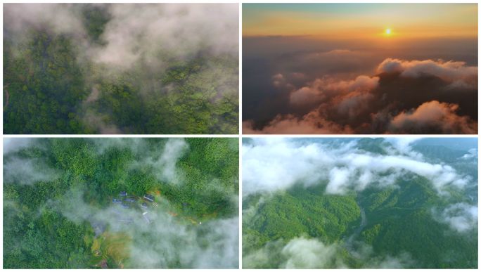 日出森林云雾光影山川云雾缭绕空气大自然