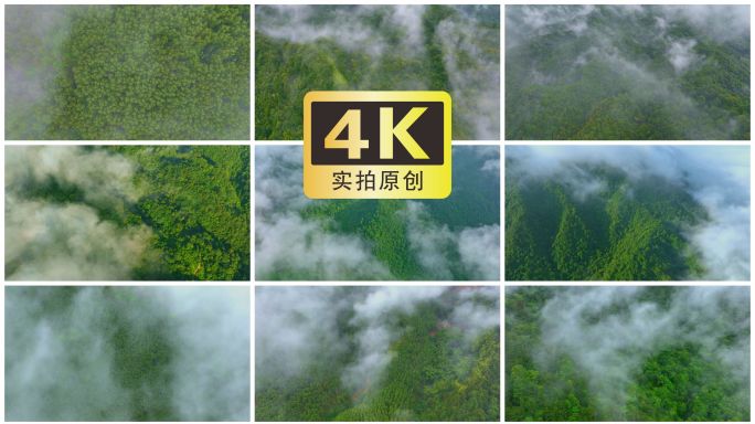 日出森林云雾光影山川云雾缭绕空气大自然