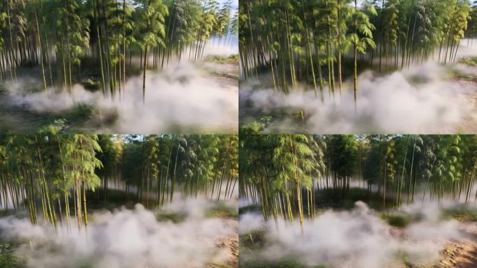 晨曦中的静谧竹林 雾气缭绕的竹林仙境