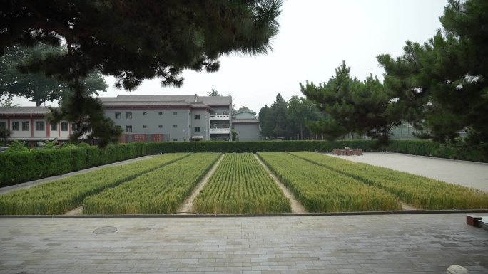 明清耤田一亩三分地 明清耤田 一亩三分地