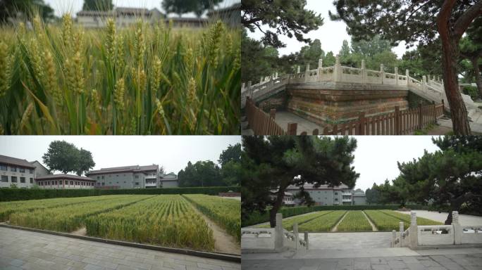 明清耤田一亩三分地 明清耤田 一亩三分地