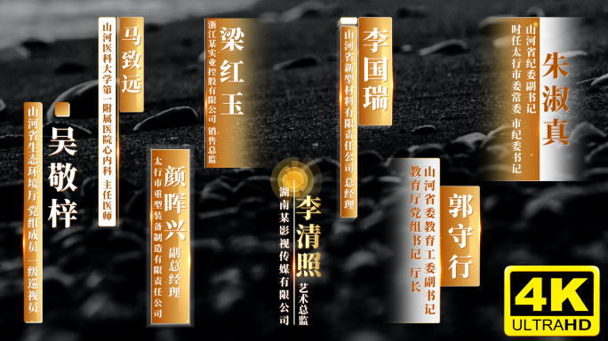 16款金色人名条 字幕条 12