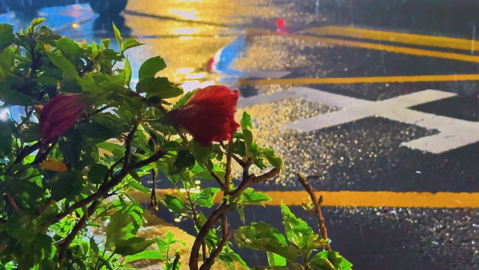 城市雨夜空镜_伤感迷茫失恋