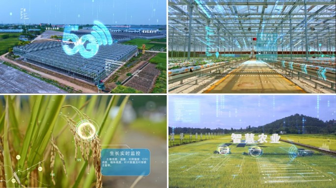 AE模板 数字农业智慧农业