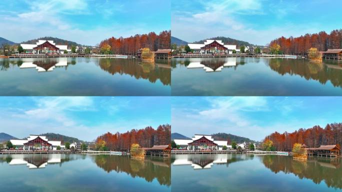 秋日水杉林畔的建筑