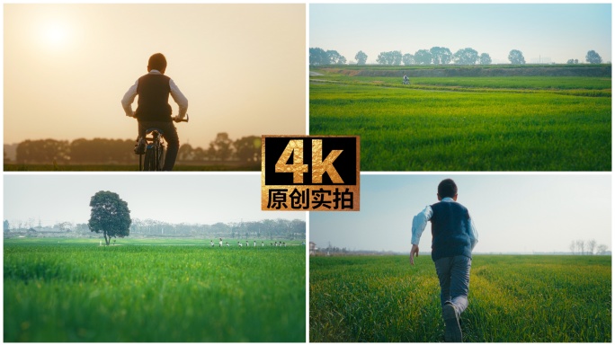 儿童奔跑孩子草地踏青草坪少年骑自行车