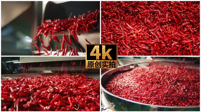 辣椒加工生产线 干辣椒 红红火火 原料