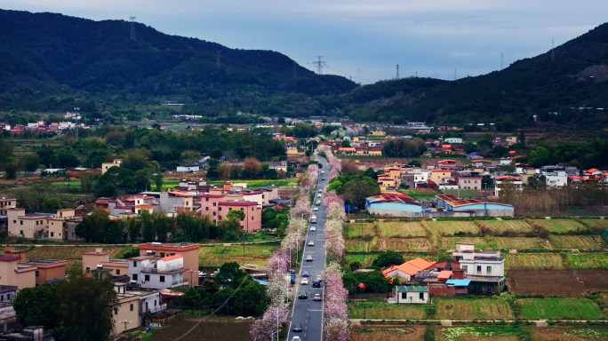 新农村