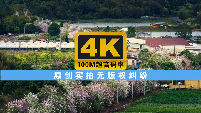 新农村