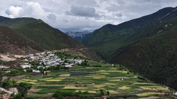 西藏四川藏区山谷梯田村落雪山高原风光