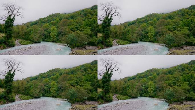 山间溪流与森林景观