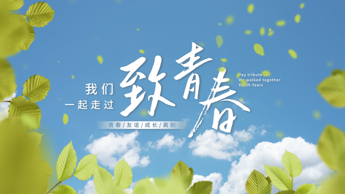 小清新青春纪念毕业文字片头标题