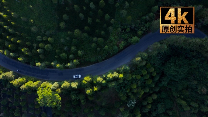 汽车行驶在乡村公路上绿色森林中的公路行车