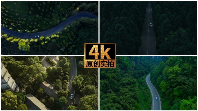 汽车行驶在乡村公路上绿色森林中的公路行车