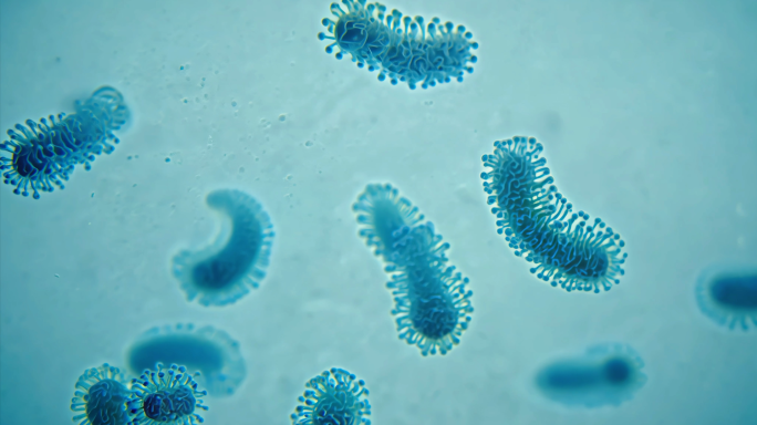 显微镜下微生物细胞病毒微观世界