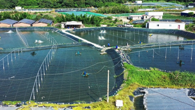 池塘水产养殖【4K合集】