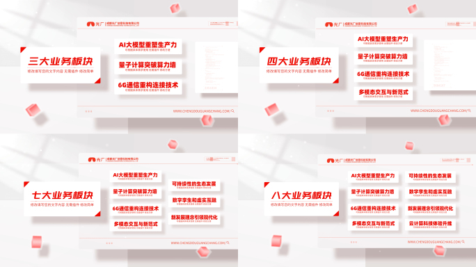 简洁红色党政文字分类包装展示