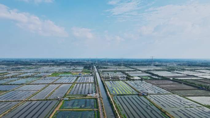 4K虾稻共作基地延时摄影02