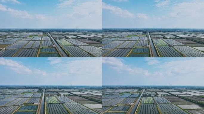 4K虾稻共作基地延时摄影02