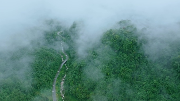 穿越云海航拍山谷森林路