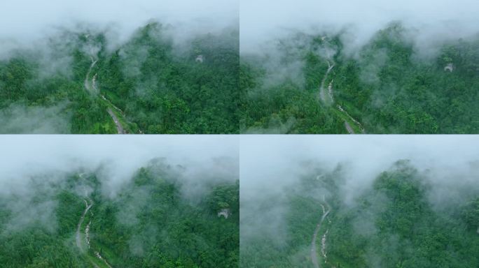 穿越云海航拍山谷森林路