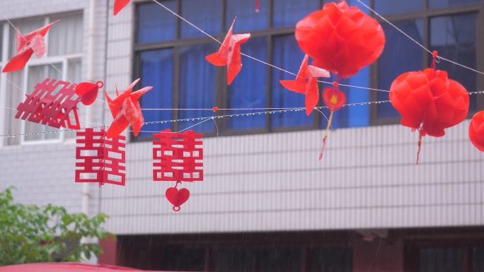 雨后植物叶片特写