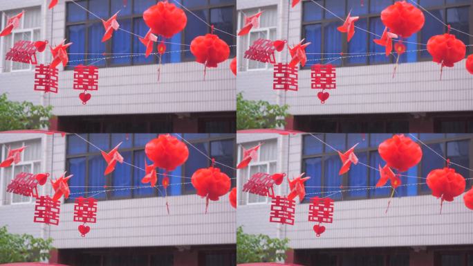 雨后植物叶片特写