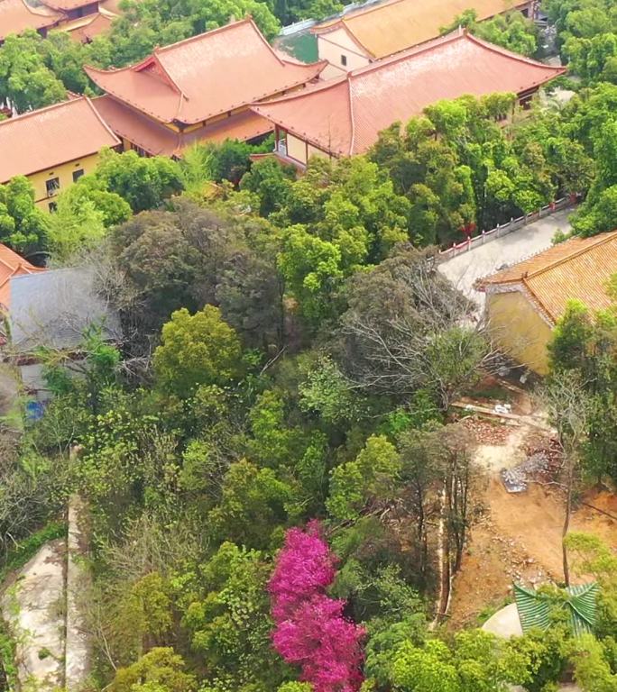 航拍湖南岳阳圣安寺景区风光