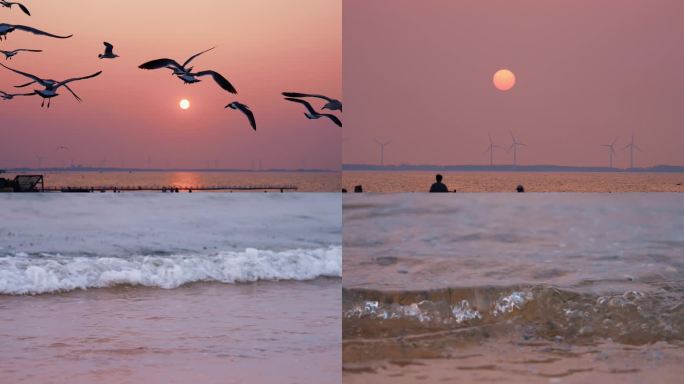 4K 海鸥飞舞的日落海景 夕阳下风力发电
