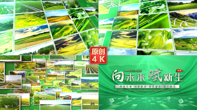 绿色图文汇聚成标题