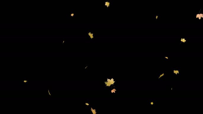 树叶枫叶飘落01-带透明通道