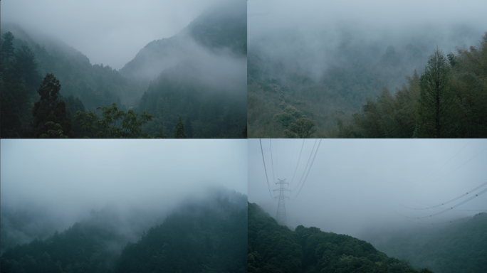 雨后云雾流动的绿色山林中式意境延时