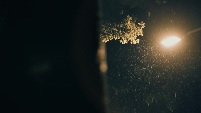 夜晚下雨 雨中路灯