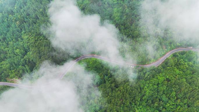 汽车行驶在云雾缭绕的山间公路上