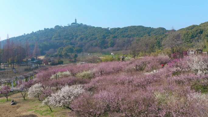 苏州石湖与上方山春天风景航拍