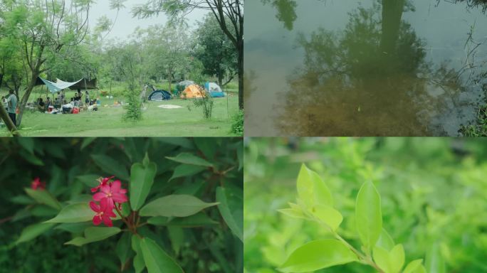绿意盎然的户外露营野餐欢乐家庭户外帐篷