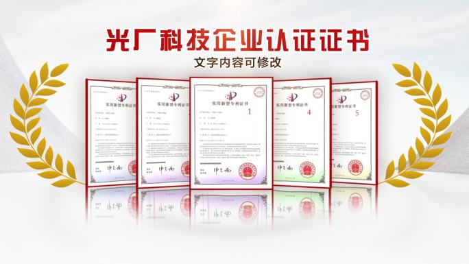 白底大气荣誉证书文件夹