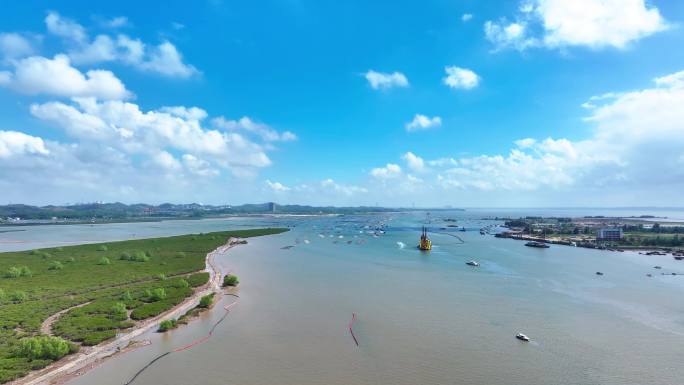 钦州沙井港 茅尾海红树林 平陆运河出海口