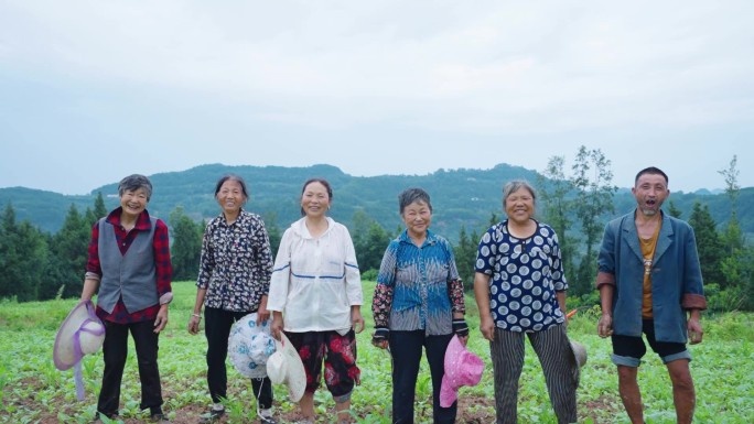 农民在田间劳作 朴实的笑脸
