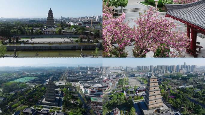 西安大雁市风光