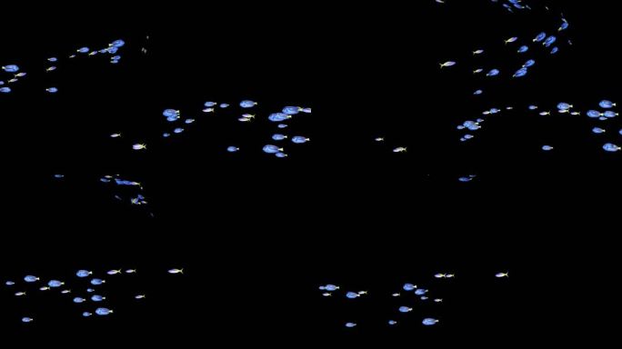 大量鱼群112(有algha通道)