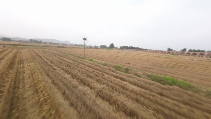 穿越机航拍河南麦田芒种秋收景象金色丰收