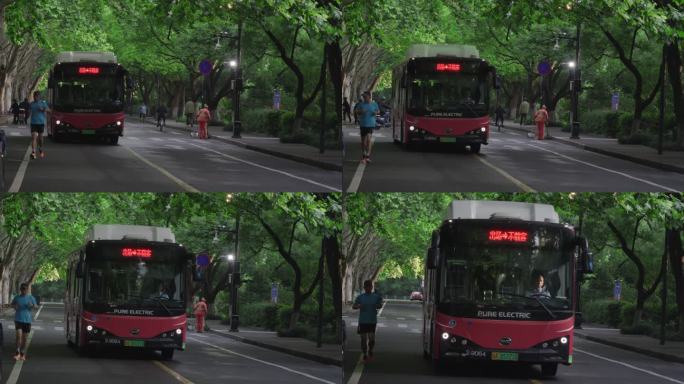 城市绿色出行与健康生活